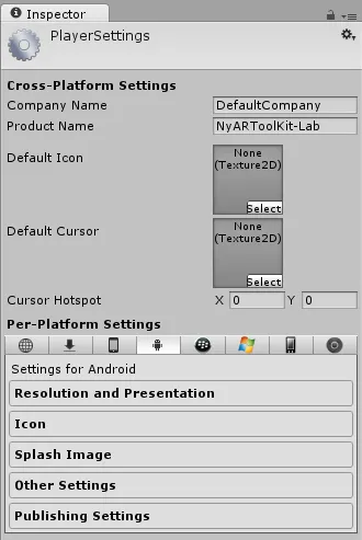 Player Settings view